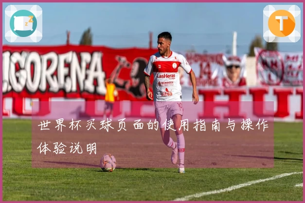 世界杯买球页面的使用指南与操作体验说明