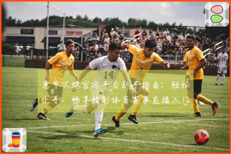 意甲买球官方平台新手指南：轻松上手，畅享精彩体育赛事直播入门全攻略
